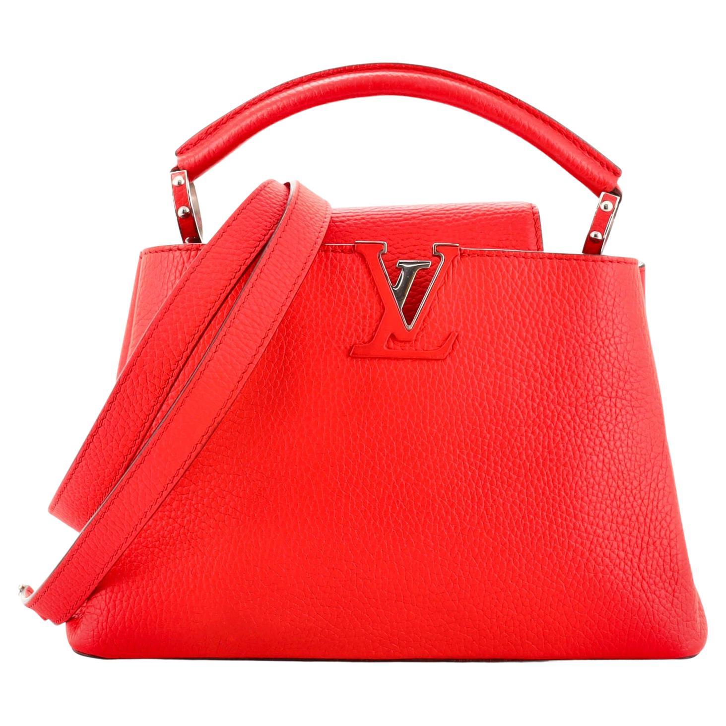 Louis Vuitton Dune Astrakhan and Leather Capucines BB Bag at