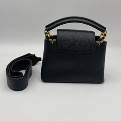 Louis Vuitton Capucines Bag Leather Embellished Detail Mini Handbag