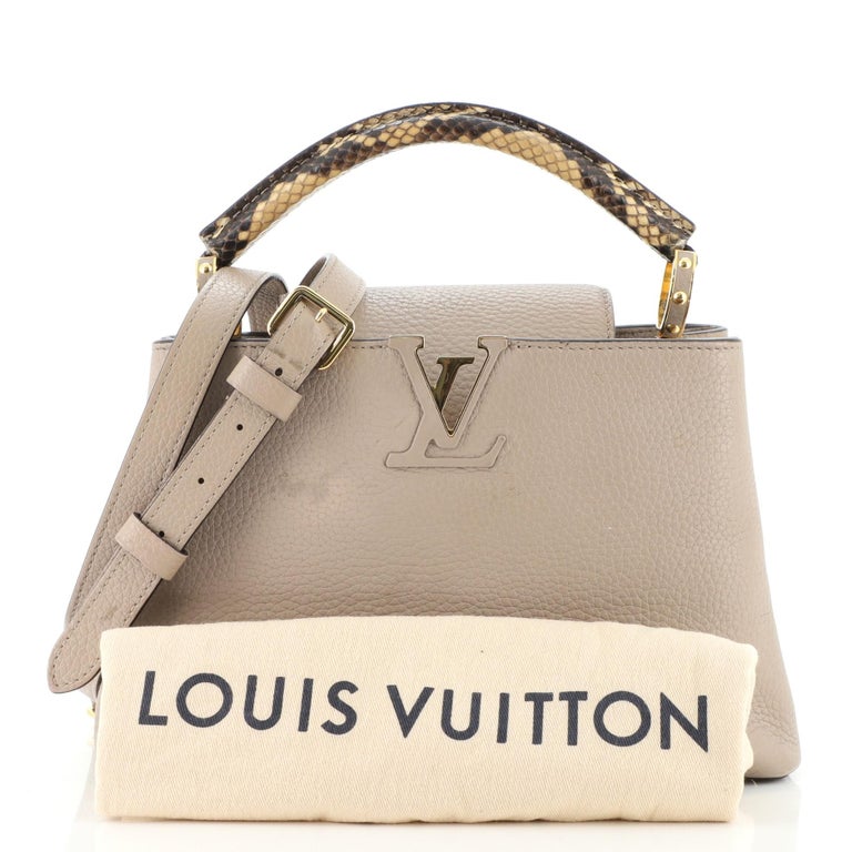 Louis Vuitton Capucine Python Bag at 1stDibs