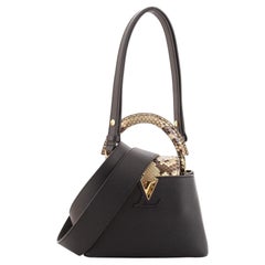 LOUIS VUITTON PYTHON MINI CAPUCINES BAG – Caroline's Fashion Luxuries