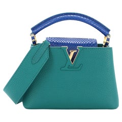 Louis Vuitton Capucines Bag Leather with Python Mini