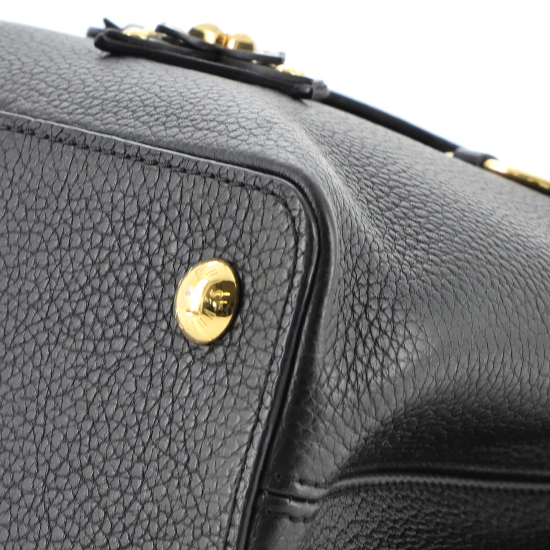 Louis Vuitton Capucines Bag Limited Edition Leather with Applique PM 3