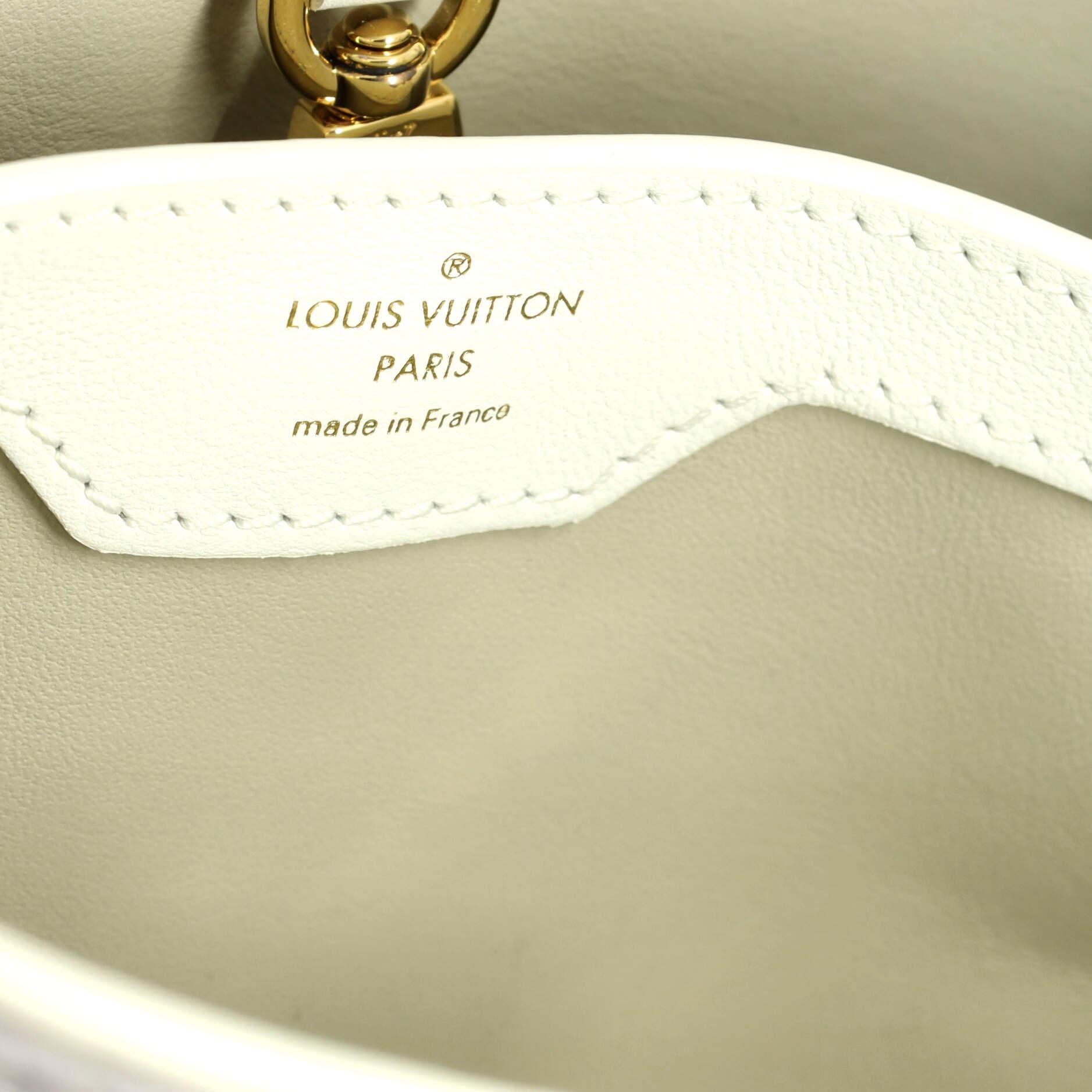 Women's or Men's Louis Vuitton Capucines Bag Monogram Cutout Broderie Leather BB