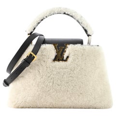 Louis Vuitton Capucines Bag Teddy Fleece PM