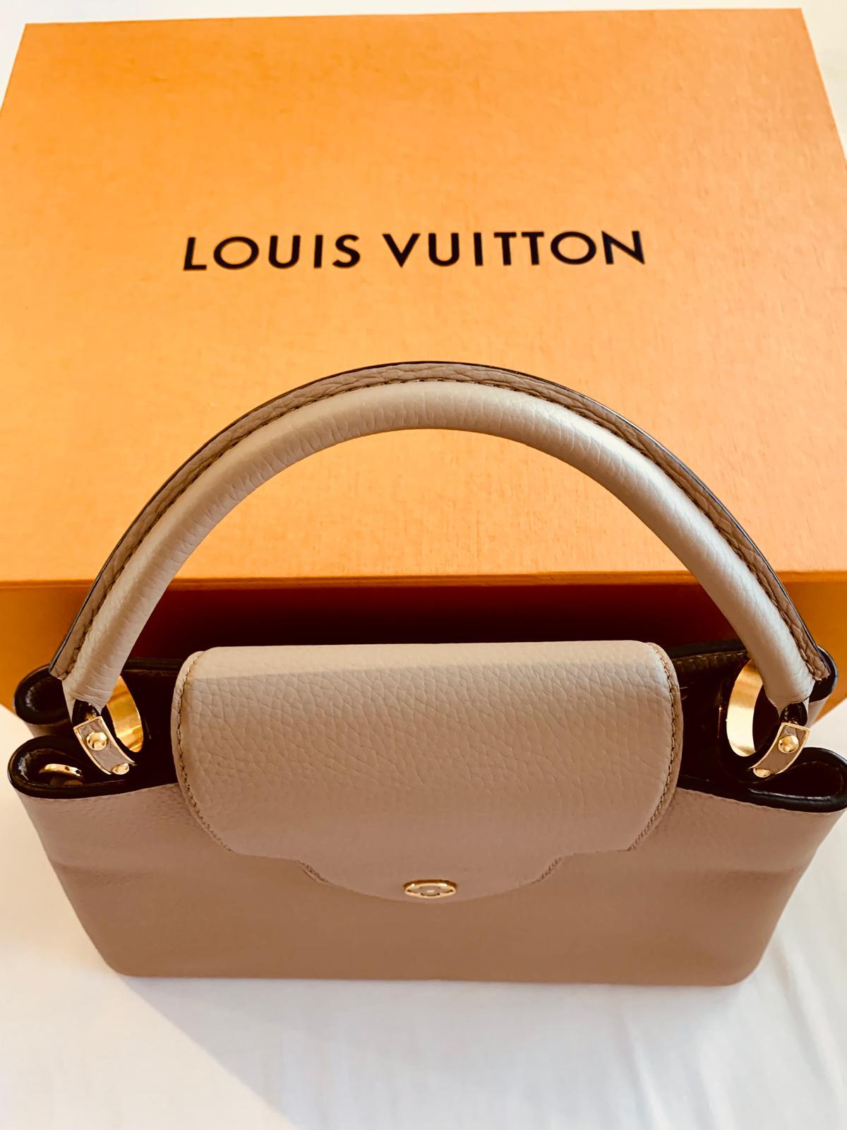 Louis Vuitton Capucines BB handbag in galet/pebble For Sale 8
