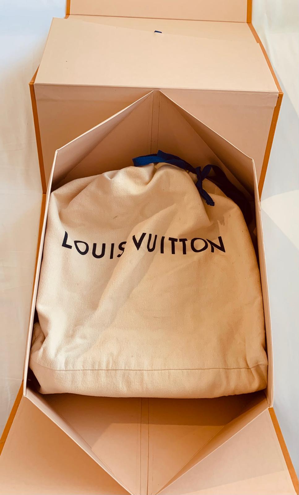 Louis Vuitton Capucines BB handbag in galet/pebble For Sale 11