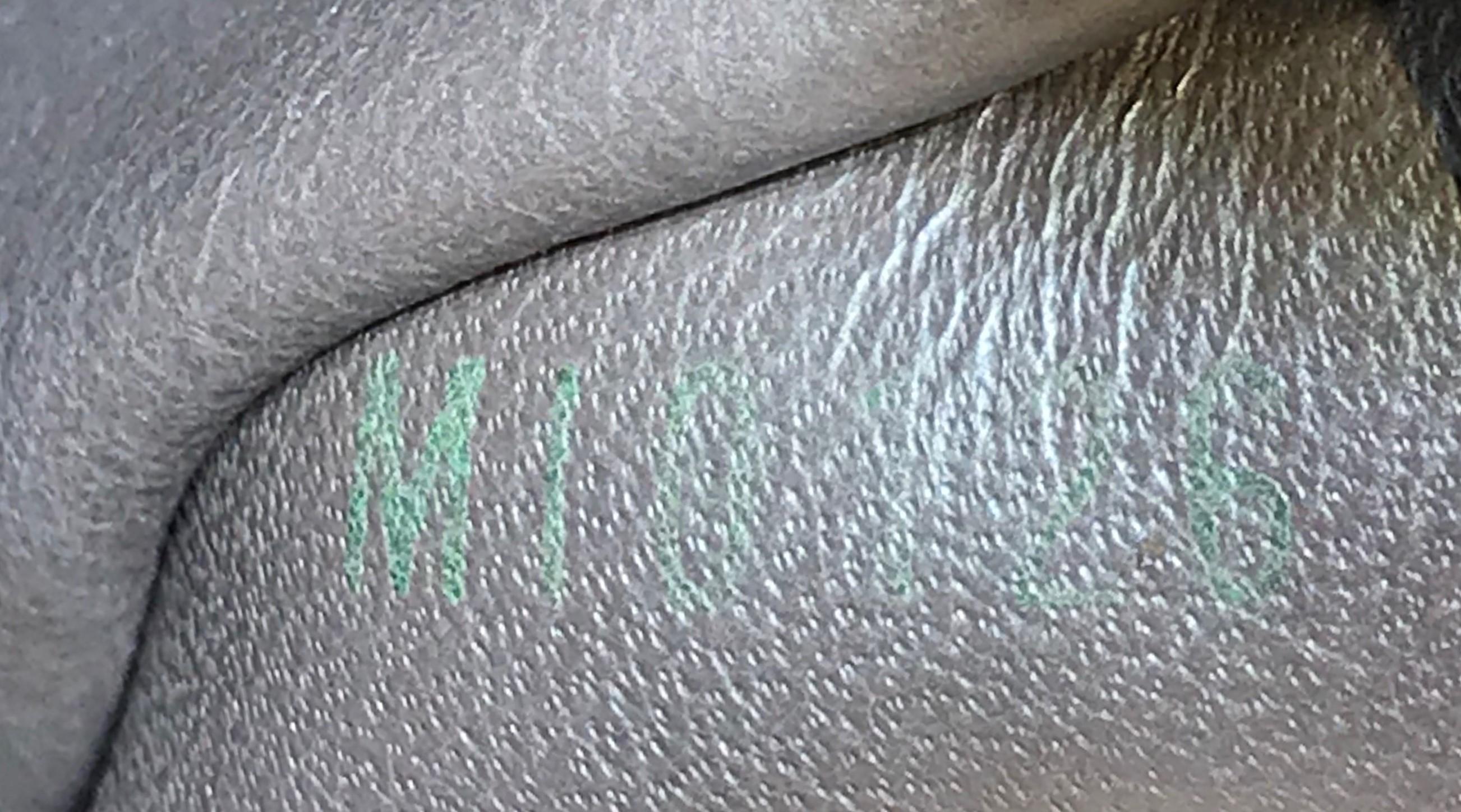 Louis Vuitton Capucines Handbag Leather and Python MM 3