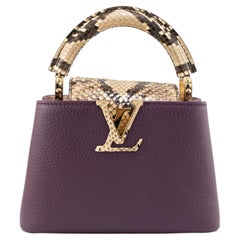 Louis Vuitton Capucines Mini Taurillon Leather Python Gold Hardware Tote Bag