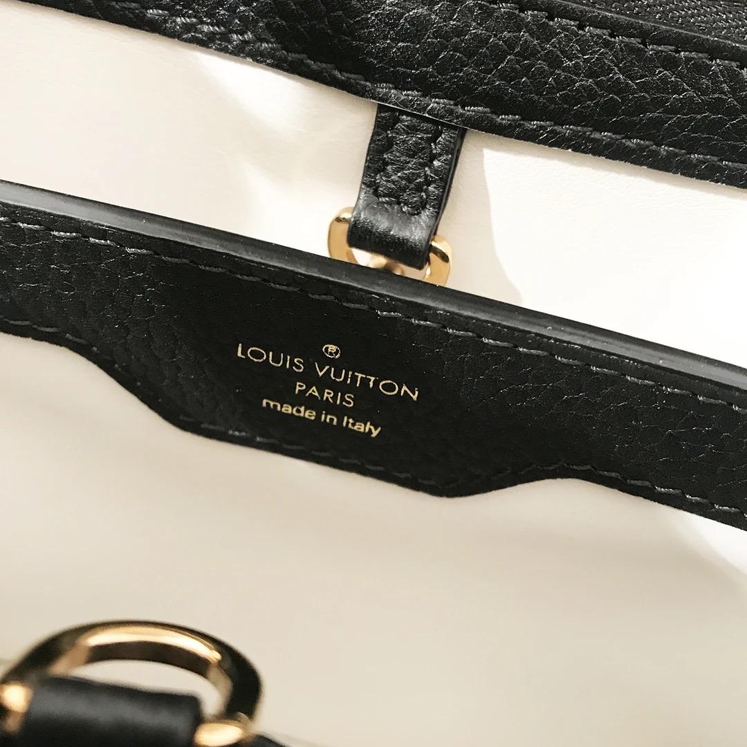 Louis Vuitton Capucines PM Bag 1