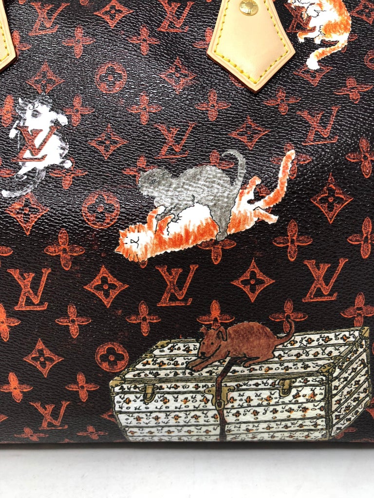 Review! Catogram Speedy Bandouliére 30 Louis Vuitton X Grace Coddington