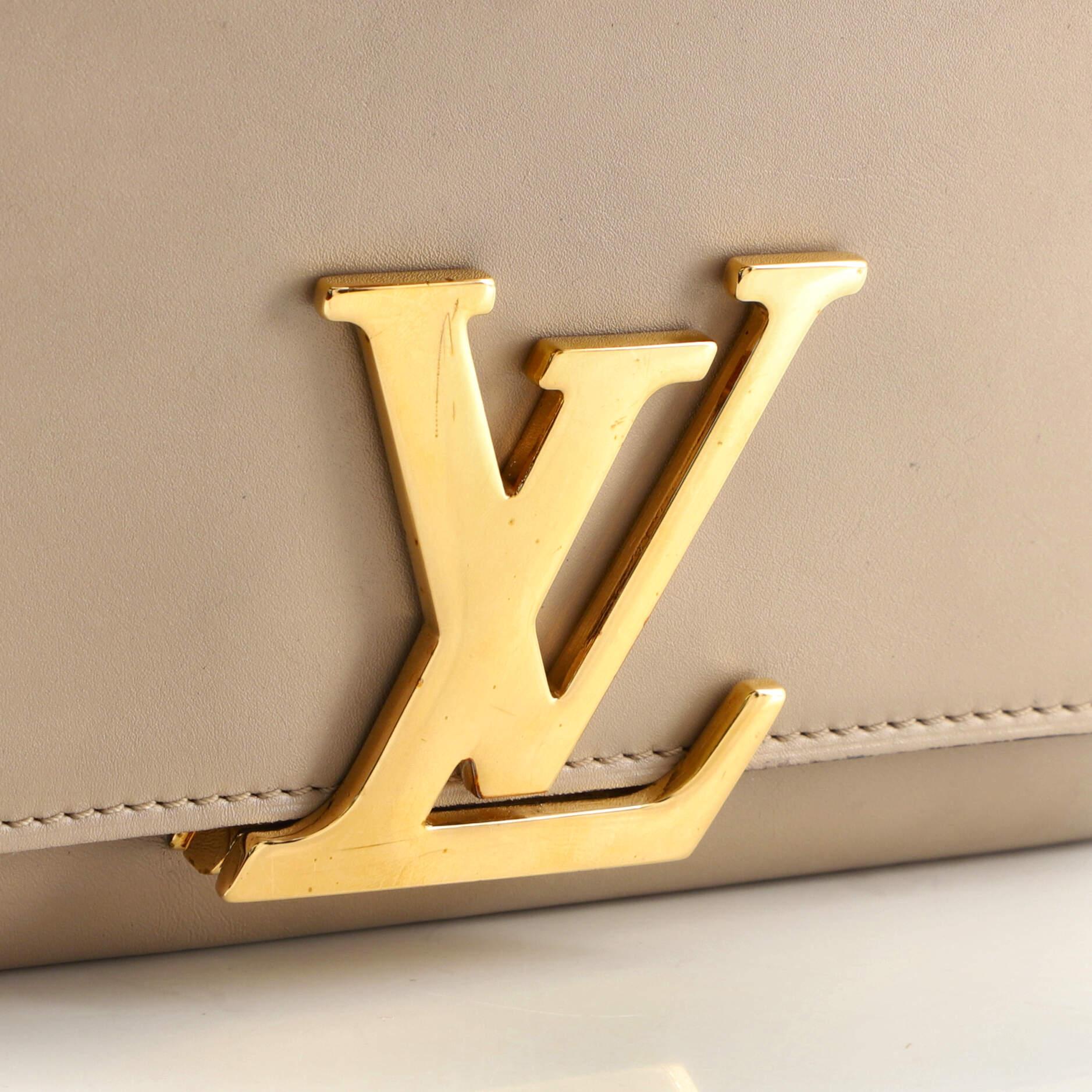 Louis Vuitton Chain Louise Clutch Leather MM 3