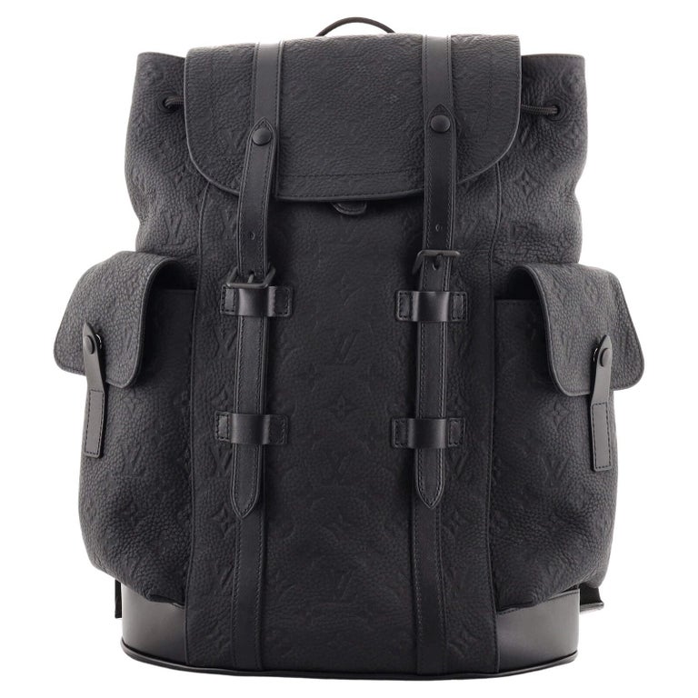 Louis Vuitton LV Men Christopher PM Backpack Taurillon Cowhide Leather -  LULUX