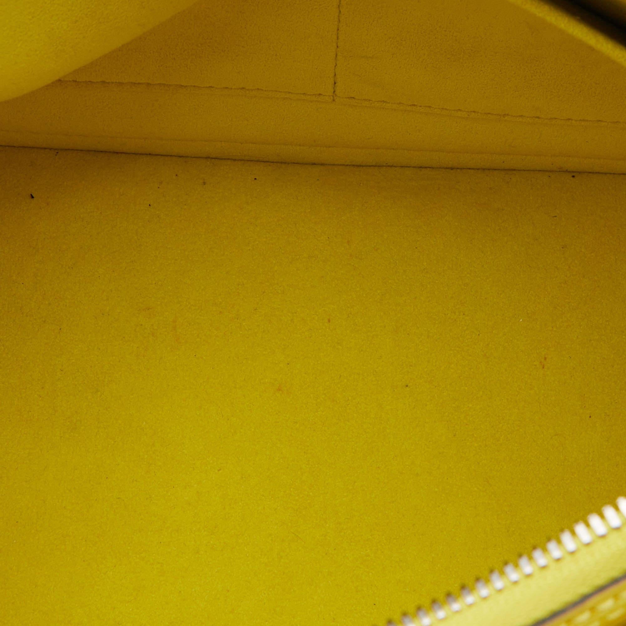 Louis Vuitton Citron Epi Leather Alma PM Bag 12