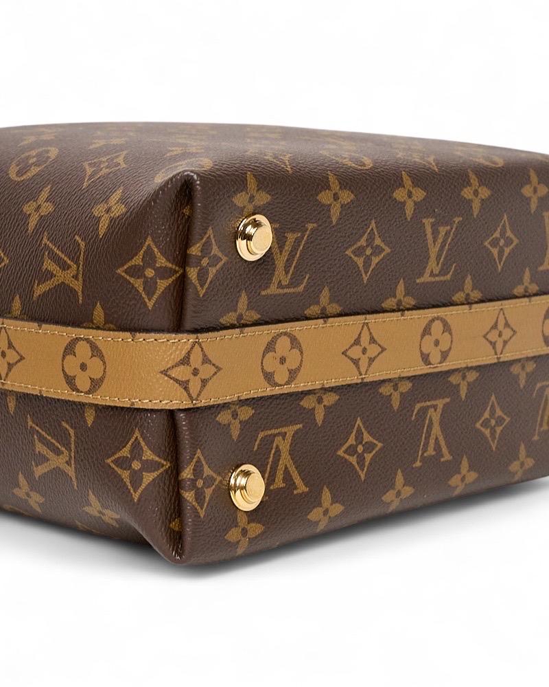 Louis Vuitton City Cruiser MM Monogram Reverse Borsa a tracolla en vente 6