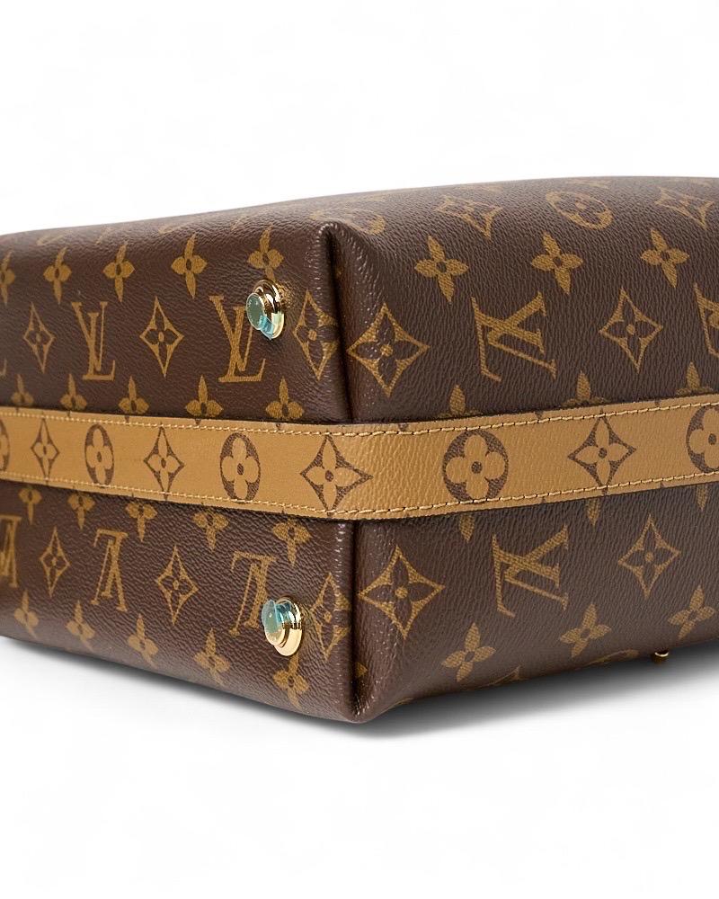 Louis Vuitton City Cruiser MM Monogram Reverse Borsa a tracolla en vente 8