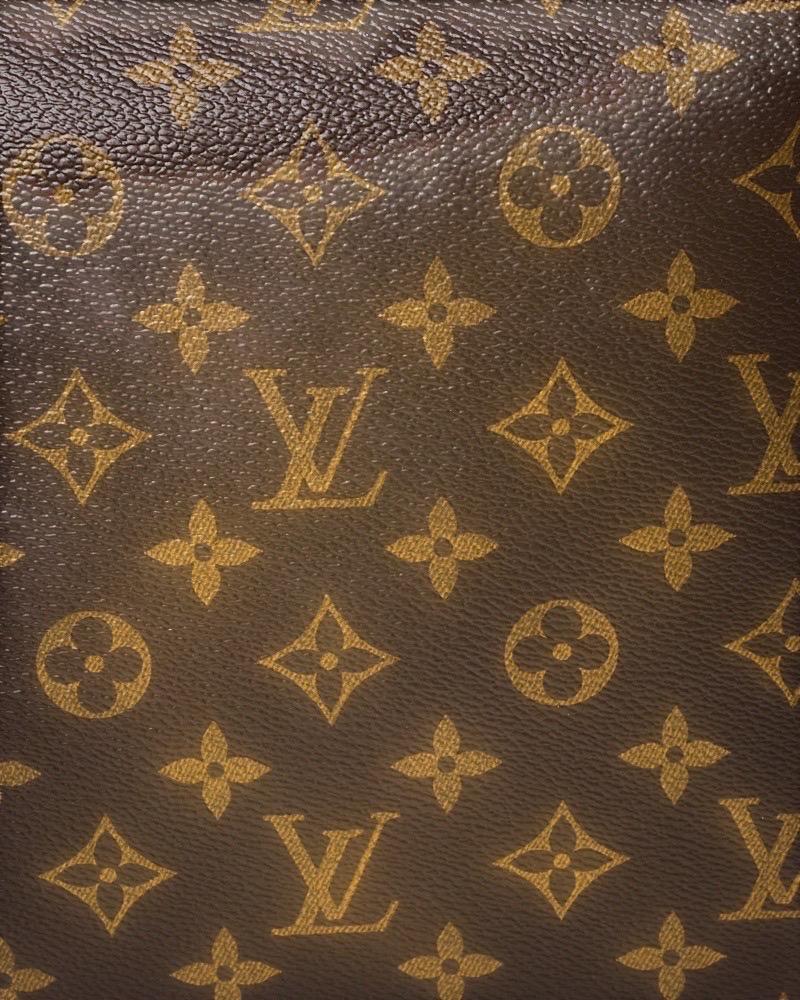 Louis Vuitton City Cruiser MM Monogram Reverse Borsa a tracolla en vente 14