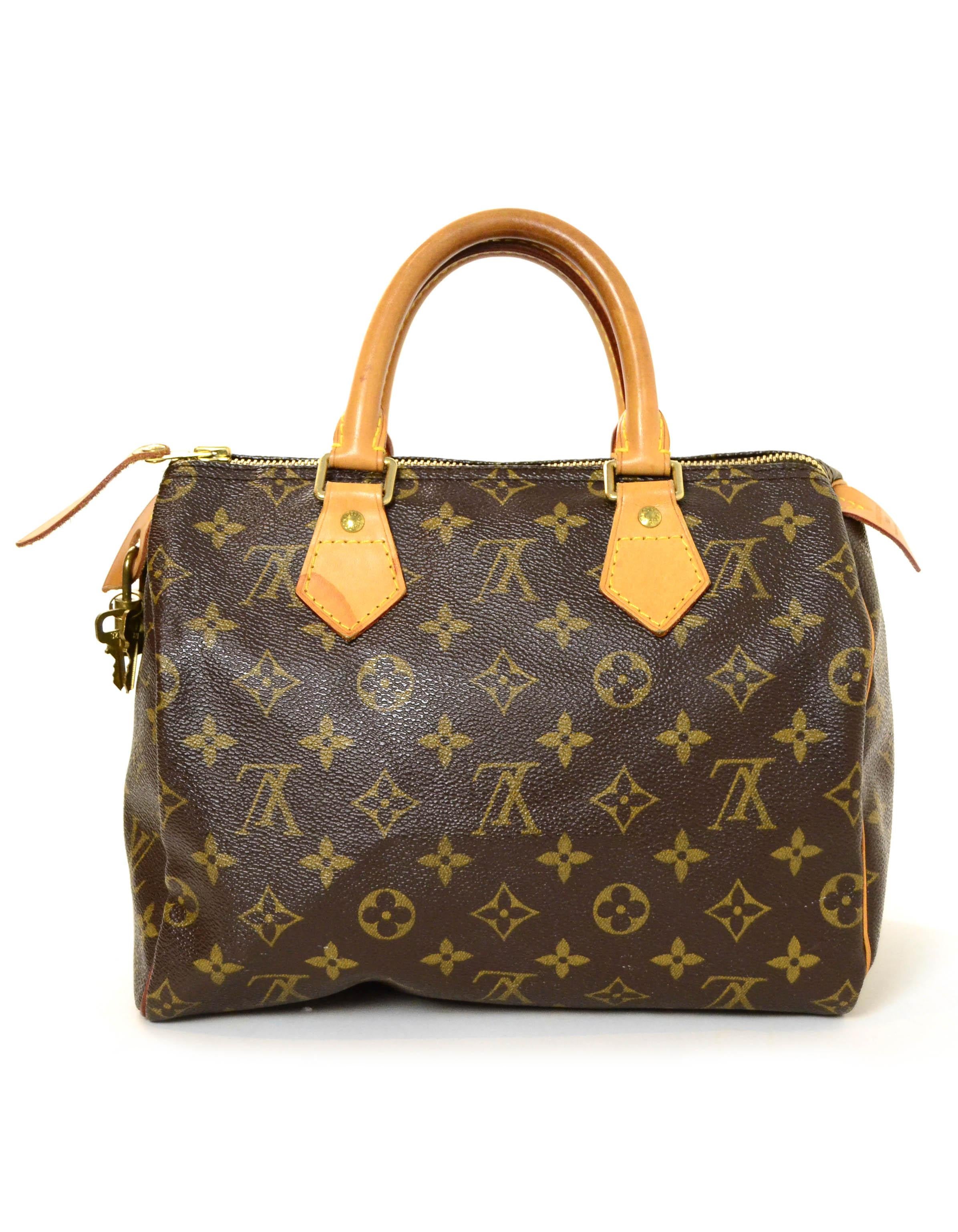 louis vuitton bags