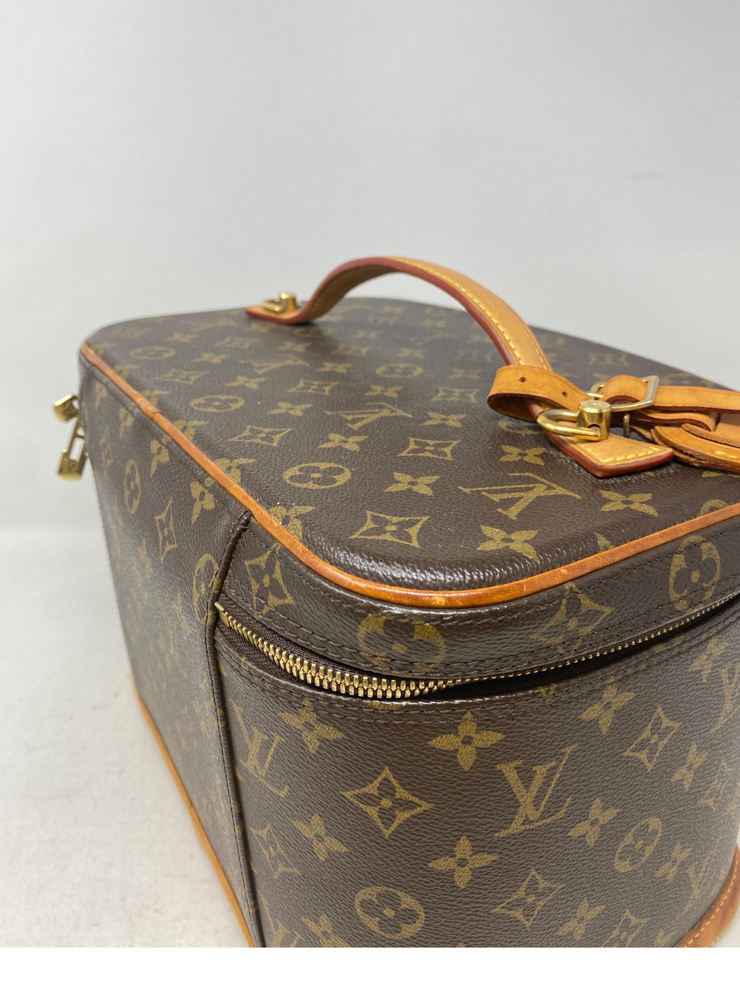 Louis Vuitton Cosmetic Bag  10