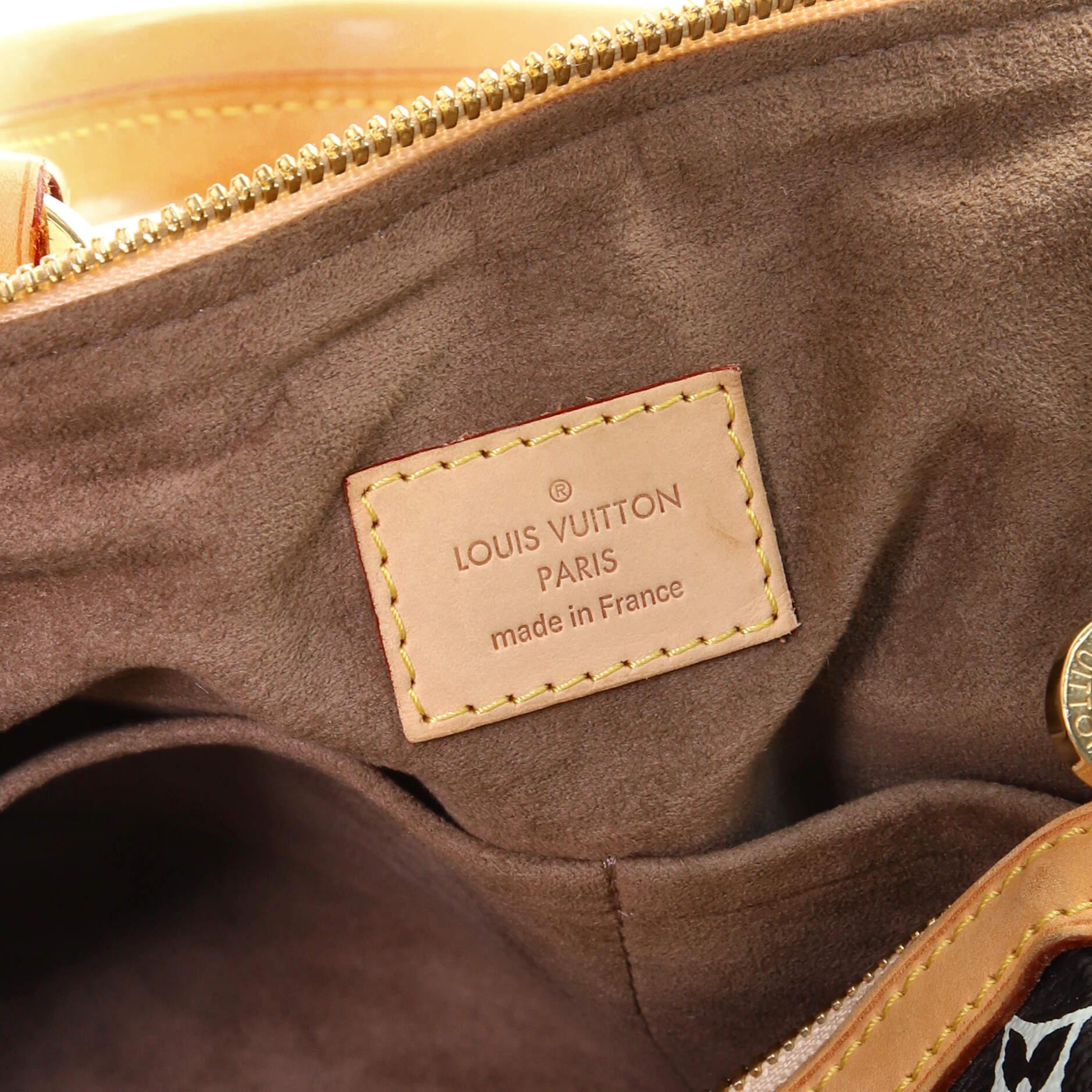 Louis Vuitton Courtney Bag Monogram Multicolor GM 3
