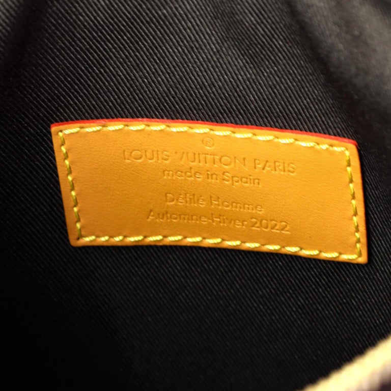 Louis Vuitton Hobo Cruiser PM Blurry Monogram Brown