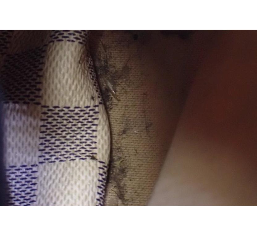 Louis Vuitton Damier Azur Canvas Leather Totally PM Tote Bag 12