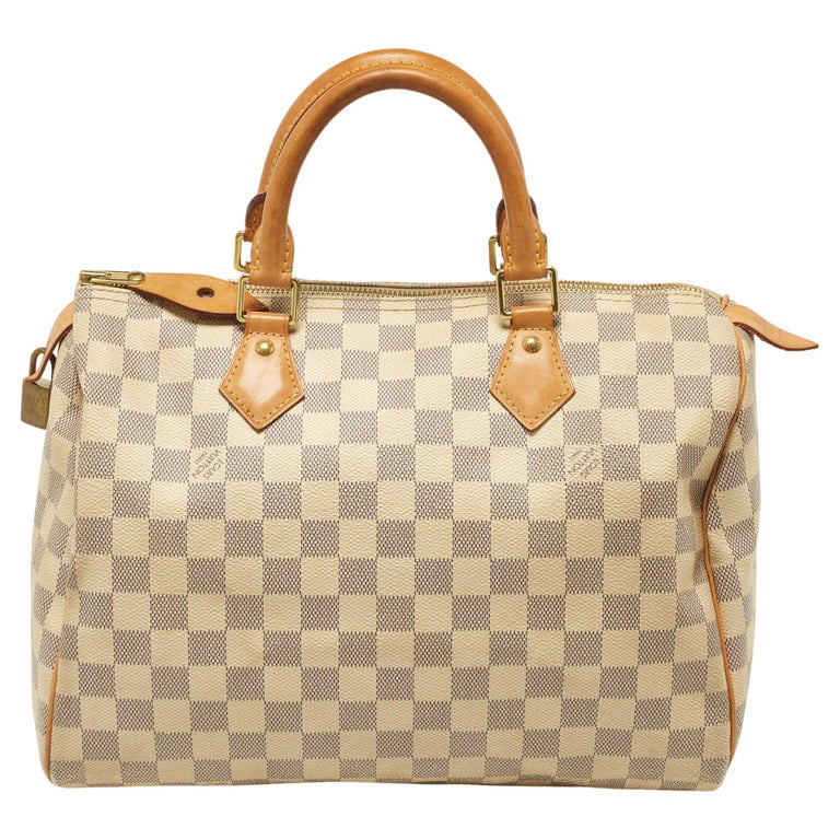 Vintage Louis Vuitton Damien Azur Berkley Bag (Discontinued)