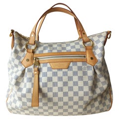 Louis Vuitton Damier Evora Mm - 2 For Sale on 1stDibs