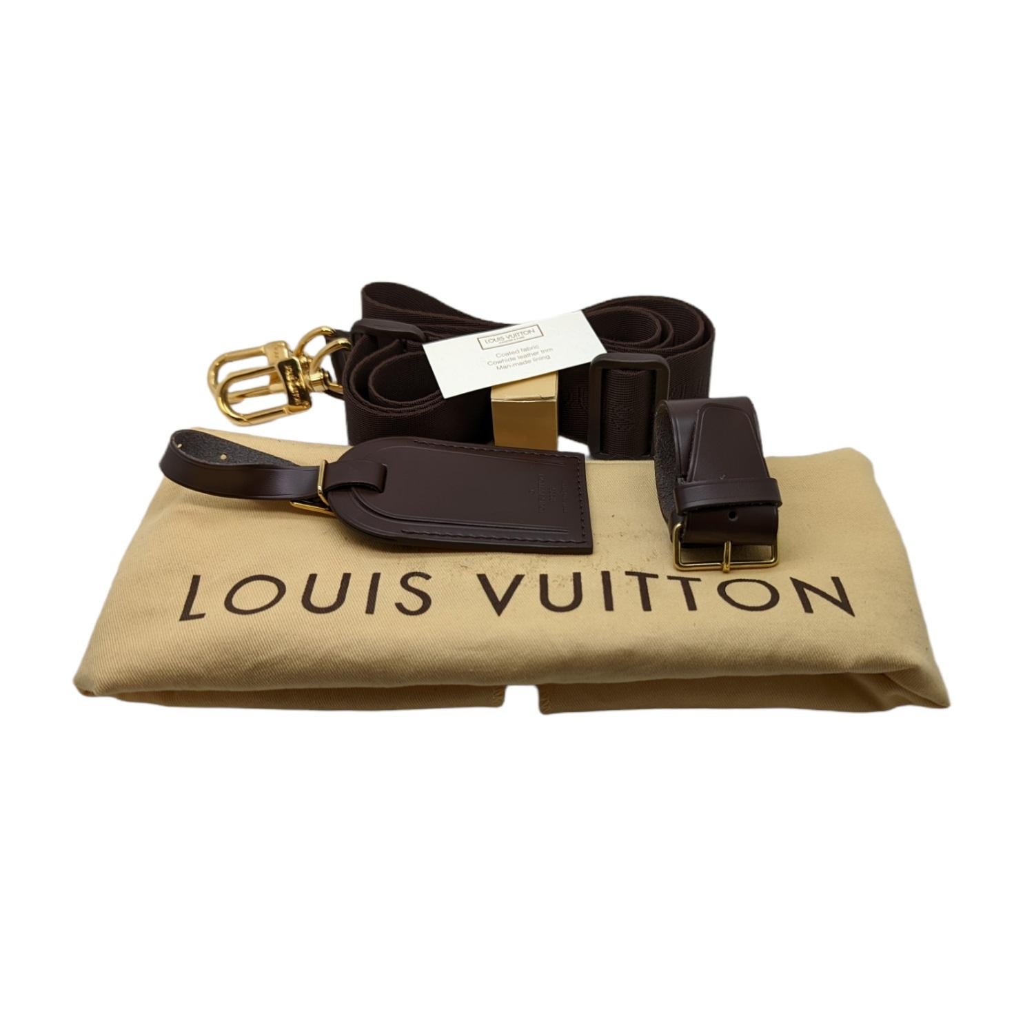 Louis Vuitton Damier Canvas Icare Computer Bag 2