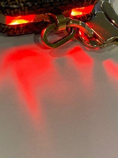 Louis Vuitton Damier Ebene AstroPill Key Holder Light KeyChain 861080