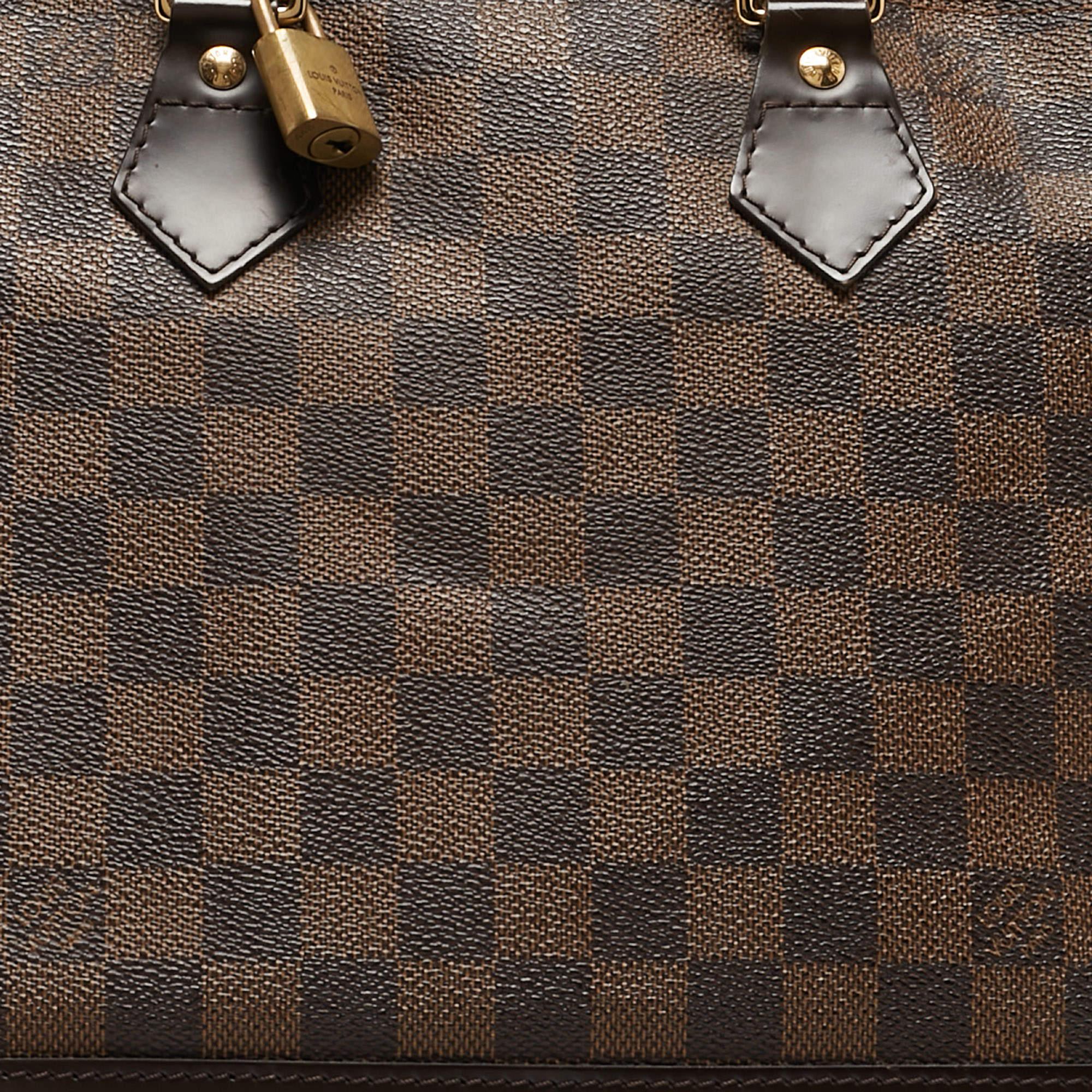 Louis Vuitton Damier Ebene Canvas Alma PM Bag For Sale 7