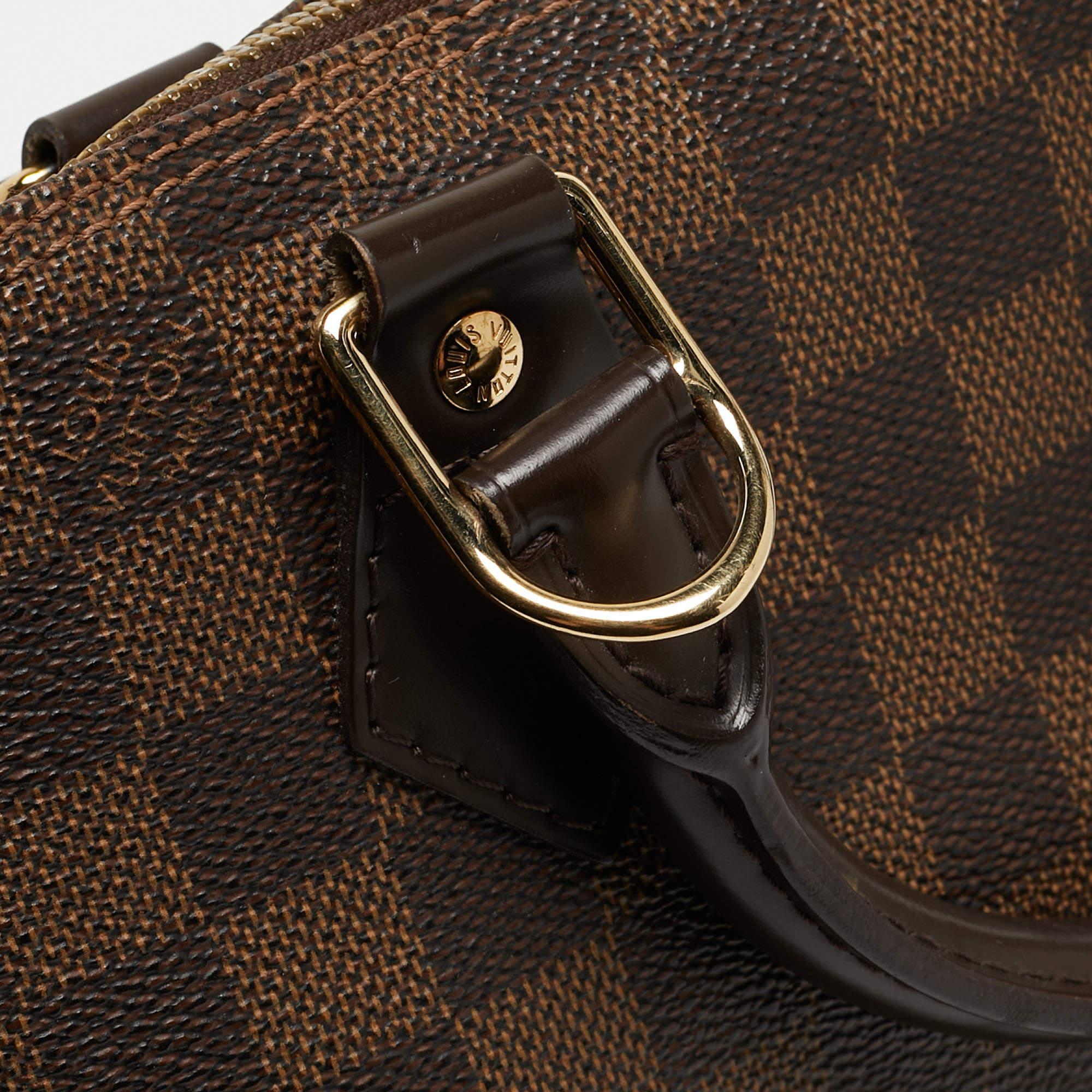 Louis Vuitton Damier Ebene Canvas Alma PM Bag For Sale 16