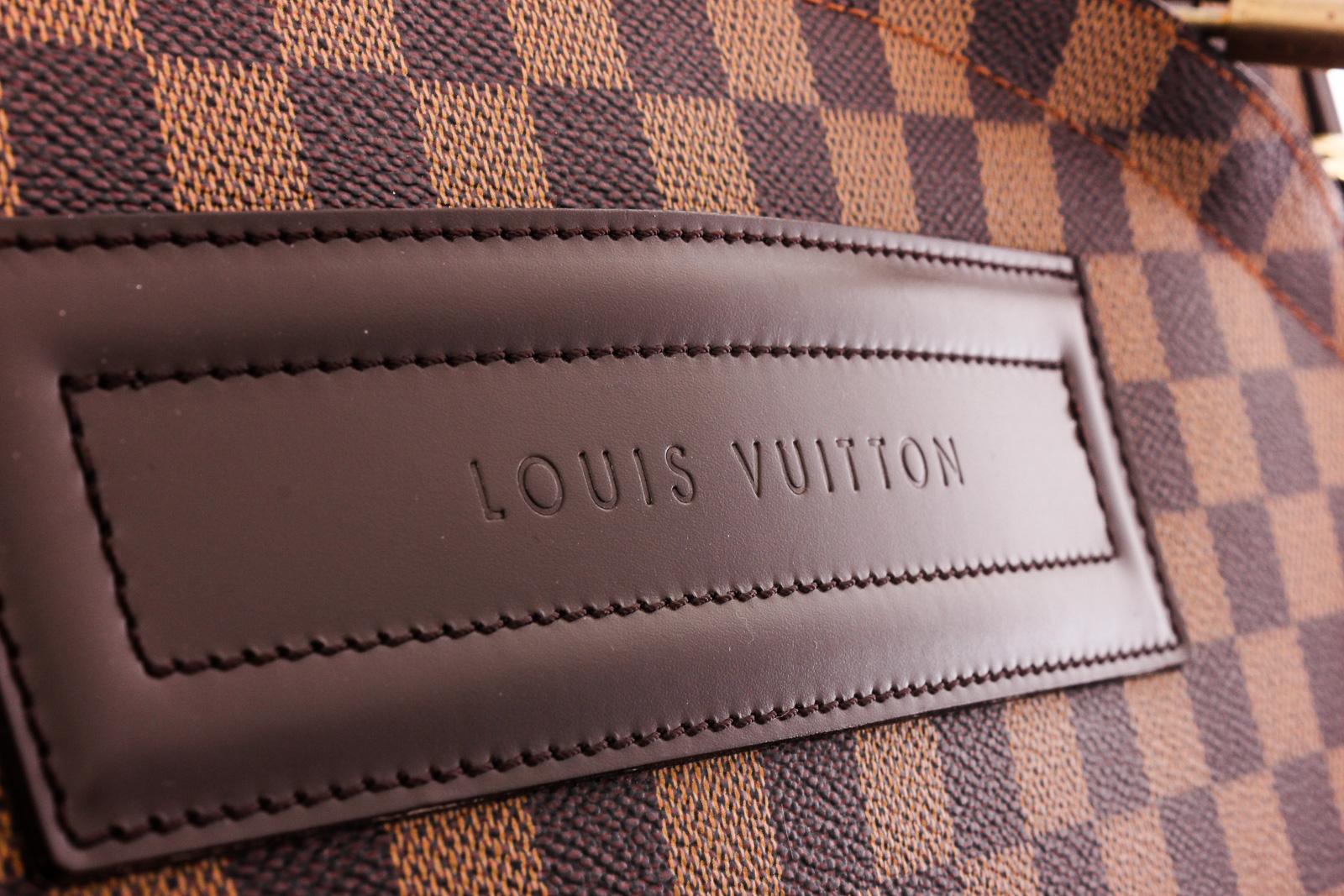 Louis Vuitton Damier Ebene Canvas Leather Pegase 45 cm Luggage 3