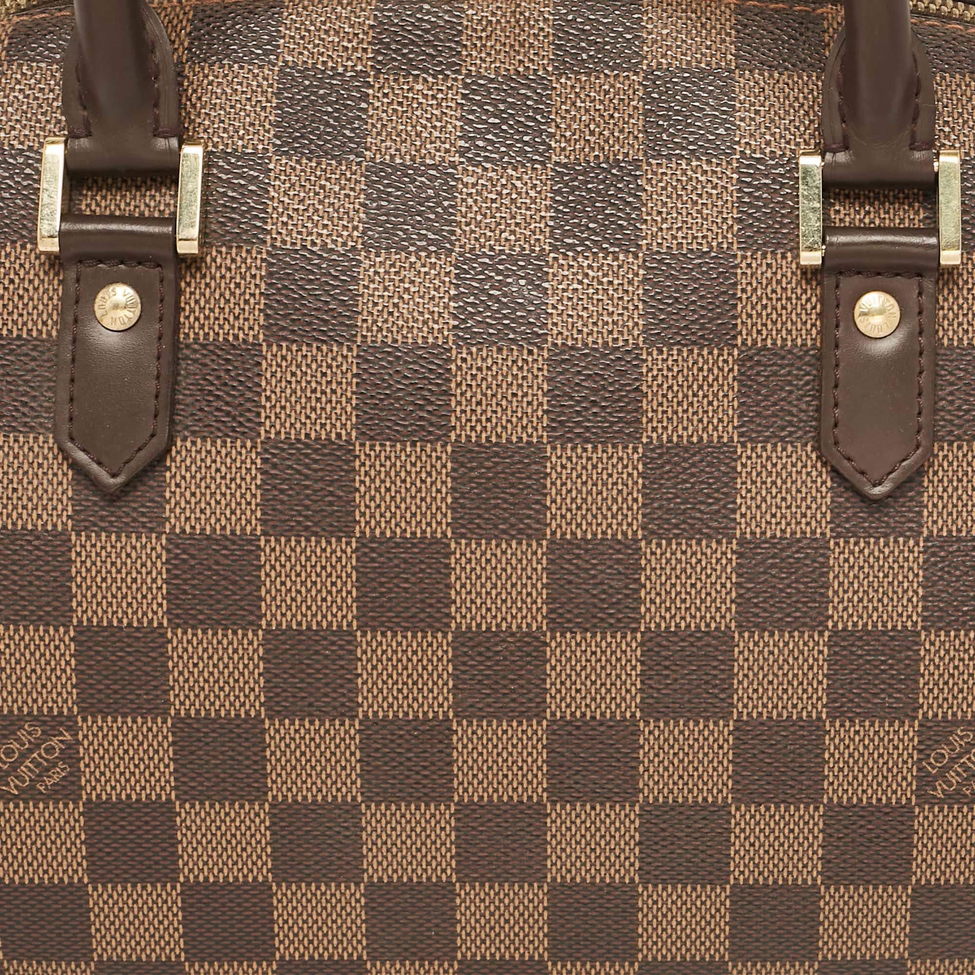 Women's Louis Vuitton Damier Ebene Canvas Ribera MM Bag
