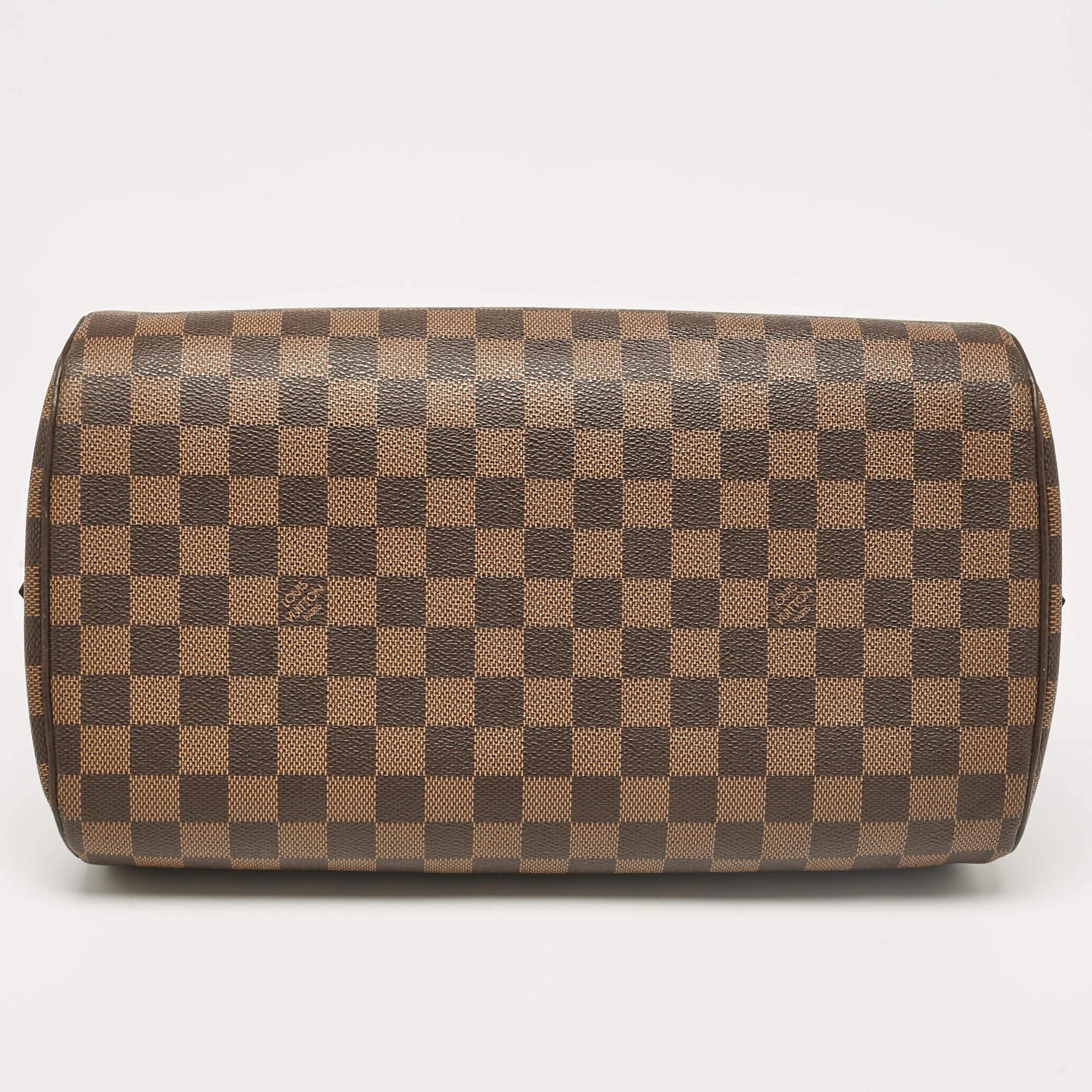 Louis Vuitton Damier Ebene Canvas Ribera MM Bag 2