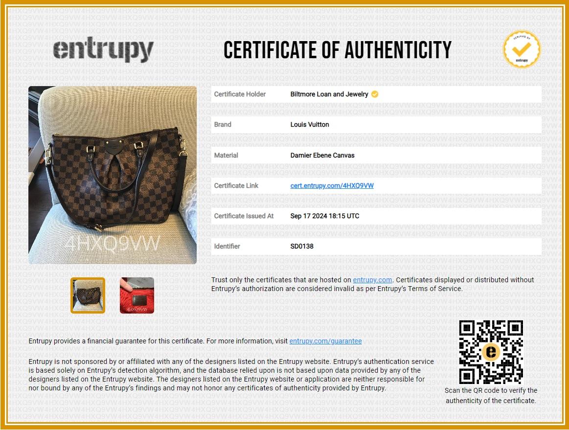 Louis Vuitton Damier Ebene Canvas Siena PM Satchel 7