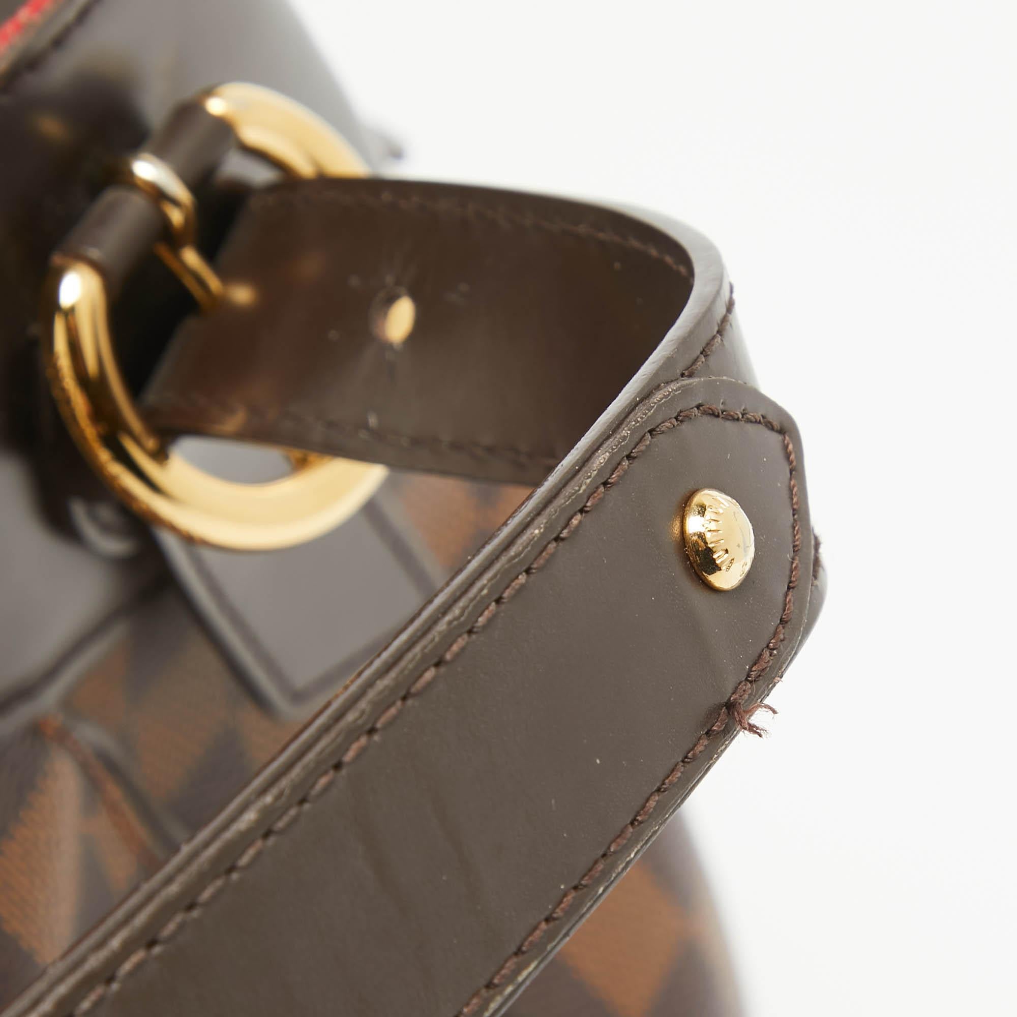 Louis Vuitton Damier Ebene Canvas Sistina MM Bag 4
