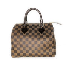 Louis Vuitton Damier Ebene Canvas Speedy 25 Bag