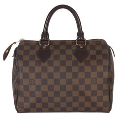 Louis Vuitton Damier Ebene Canvas Speedy 25