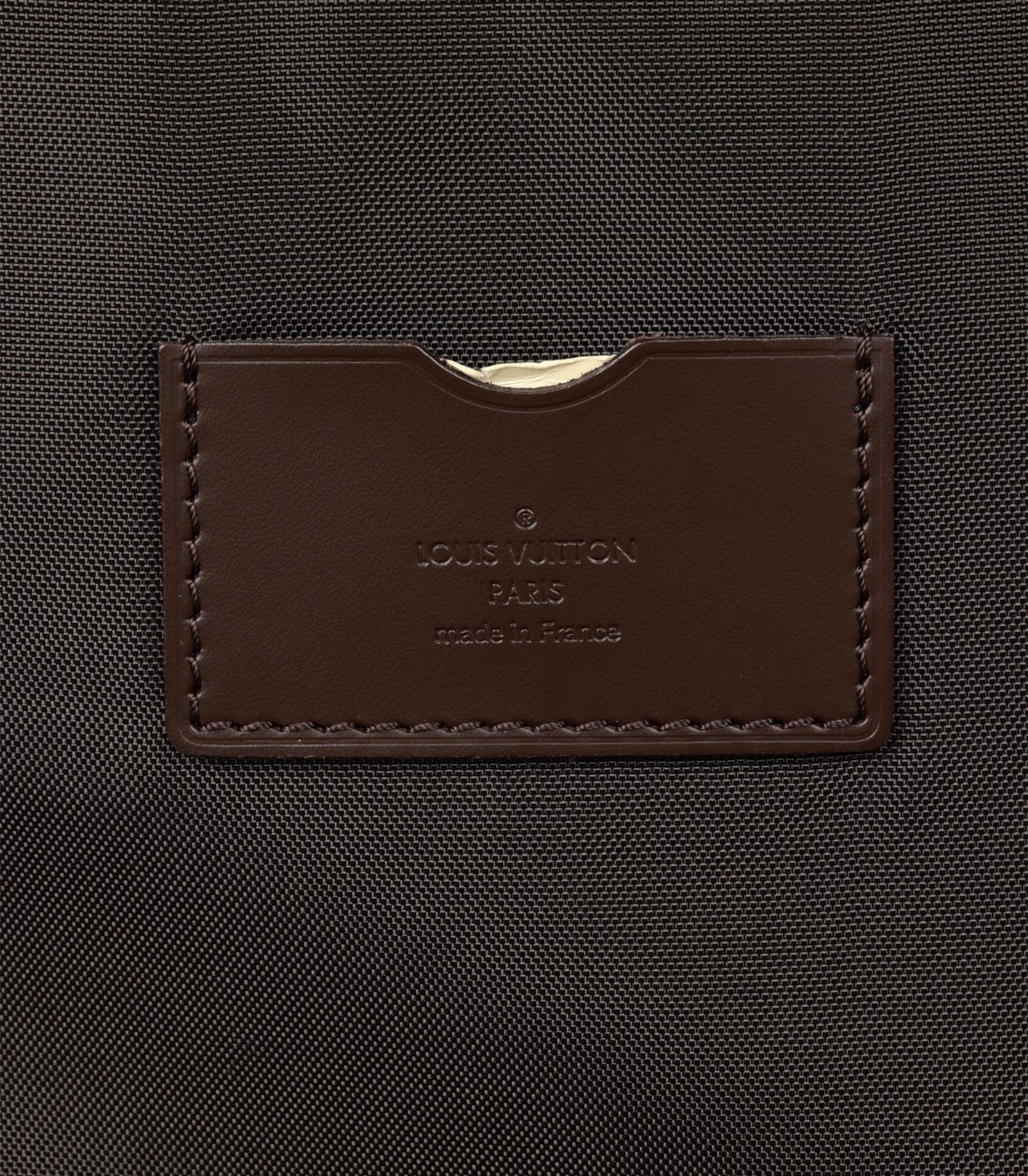 Louis Vuitton Damier Ebene Coated Canvas & Brown Calfskin Leather Pégase 45 4