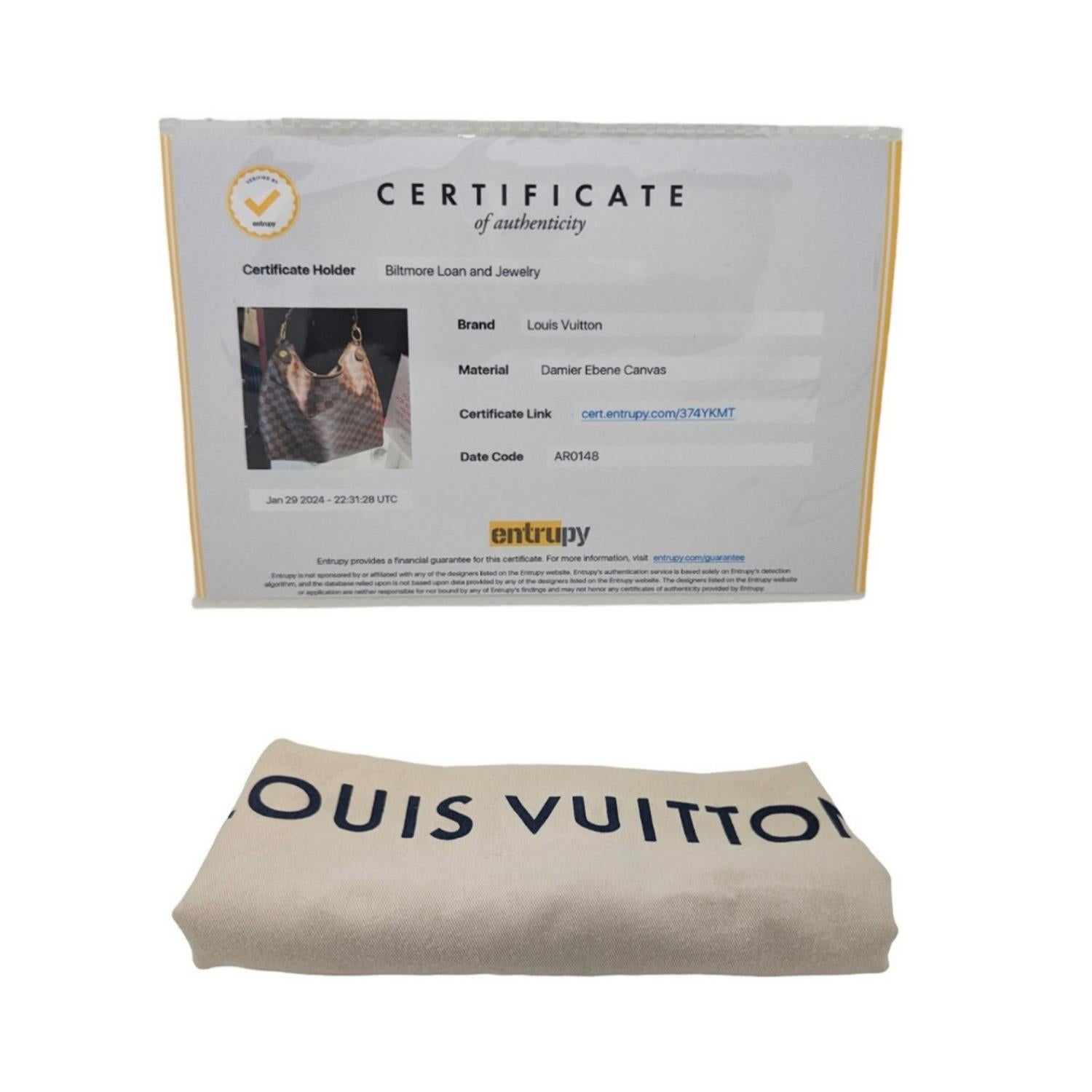 Louis Vuitton Damier Ebene Duomo Hobo Bag For Sale 8
