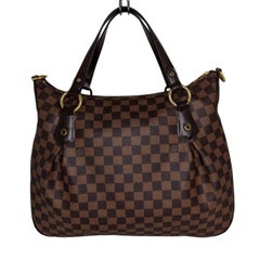 Louis Vuitton Damier Ebene Evora Satchel