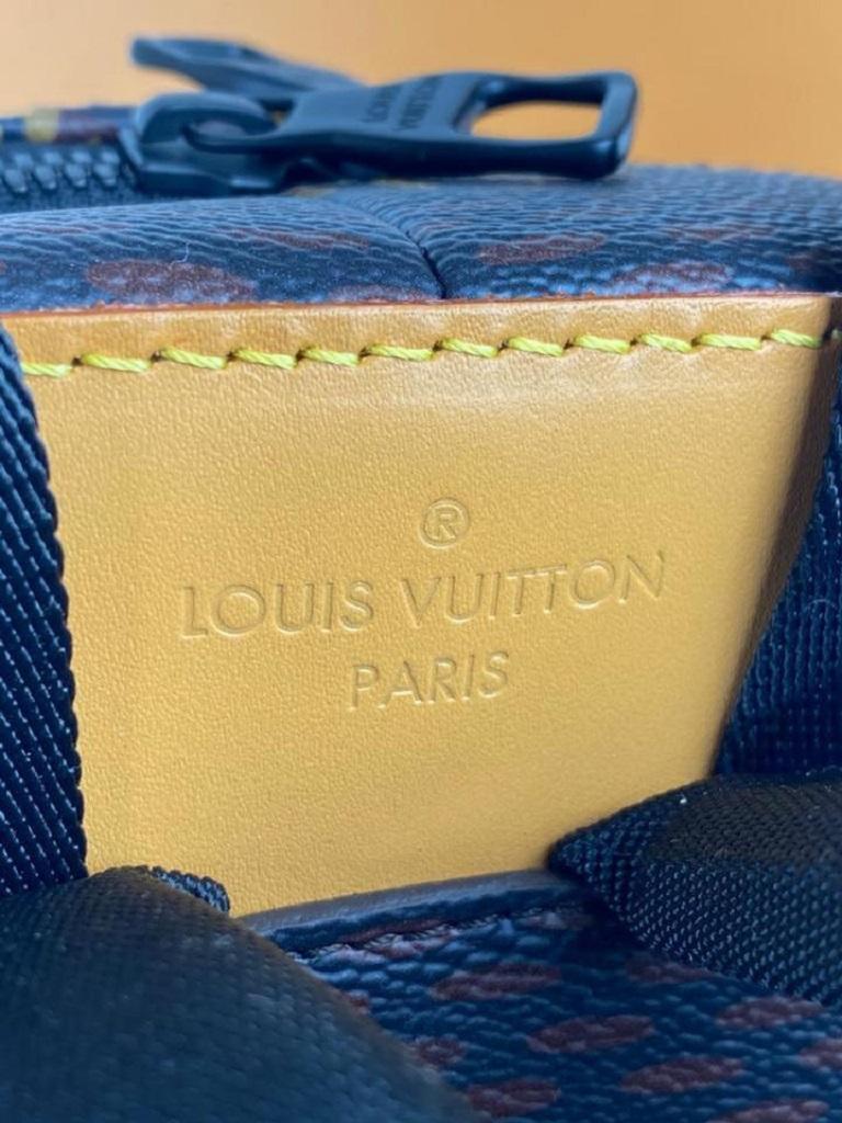 Louis Vuitton Damier Ebene Nigo Campus Backpack Rare Runway Drip