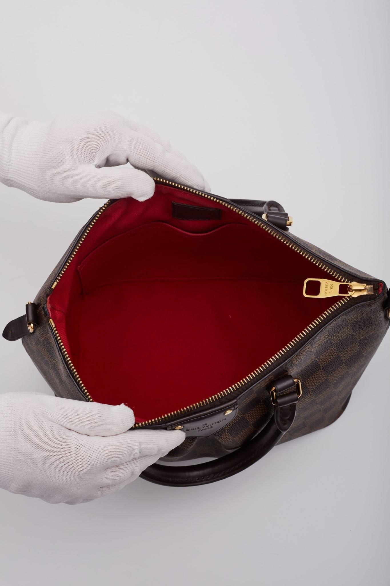 Louis Vuitton Damier Ebene Siena PM Bag 3