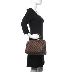 Louis Vuitton Damier Ebene Speedy 25 861102