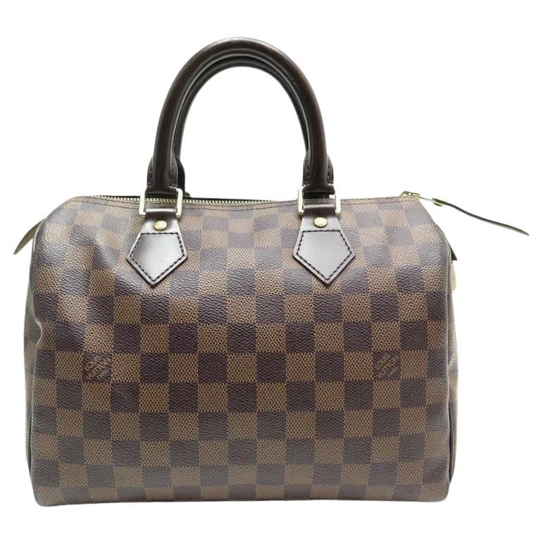 louis vuitton damier ebene speedy