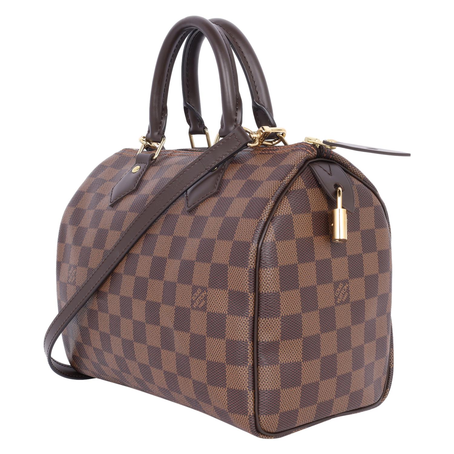Louis Vuitton Damier Ebene Speedy 25 Cross Body Bag 1