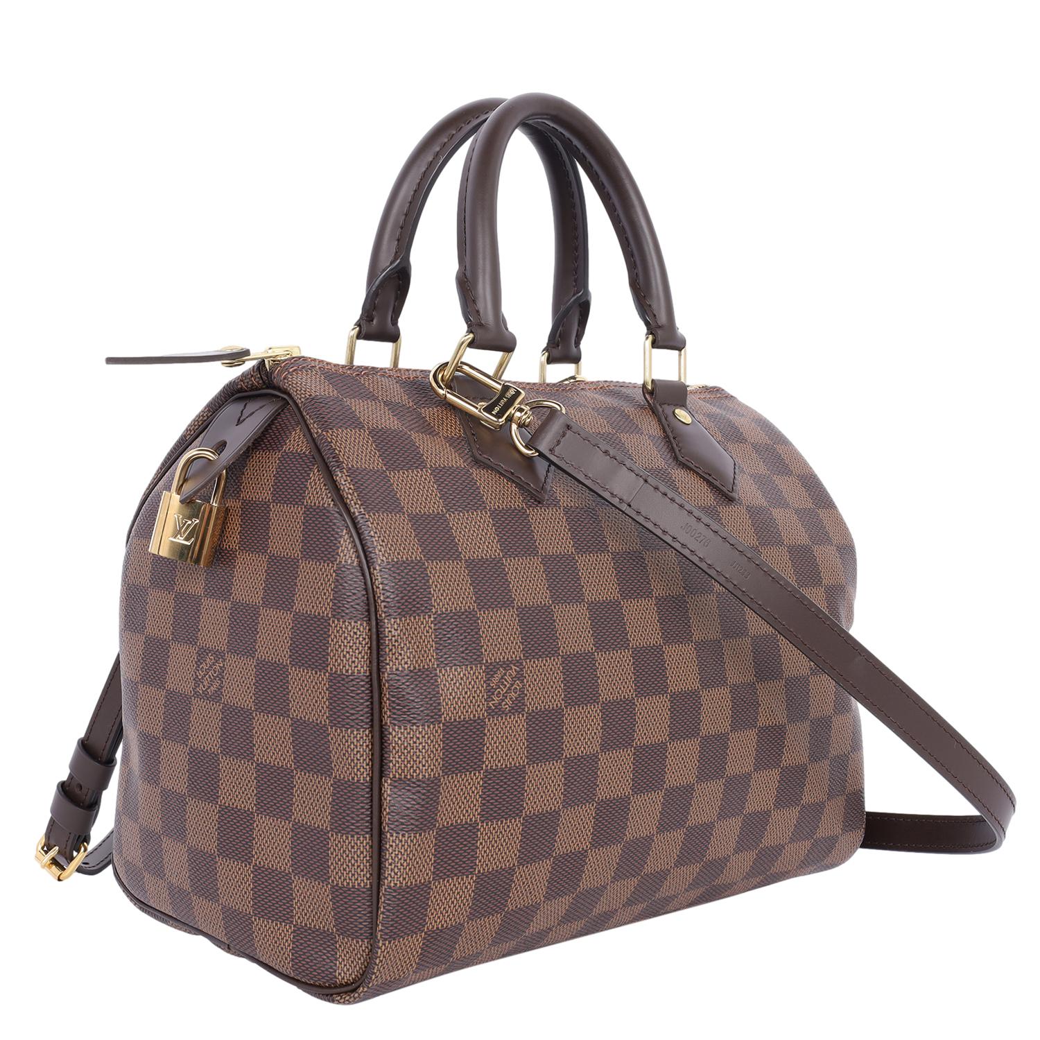 Louis Vuitton Damier Ebene Speedy 25 Cross Body Bag 3