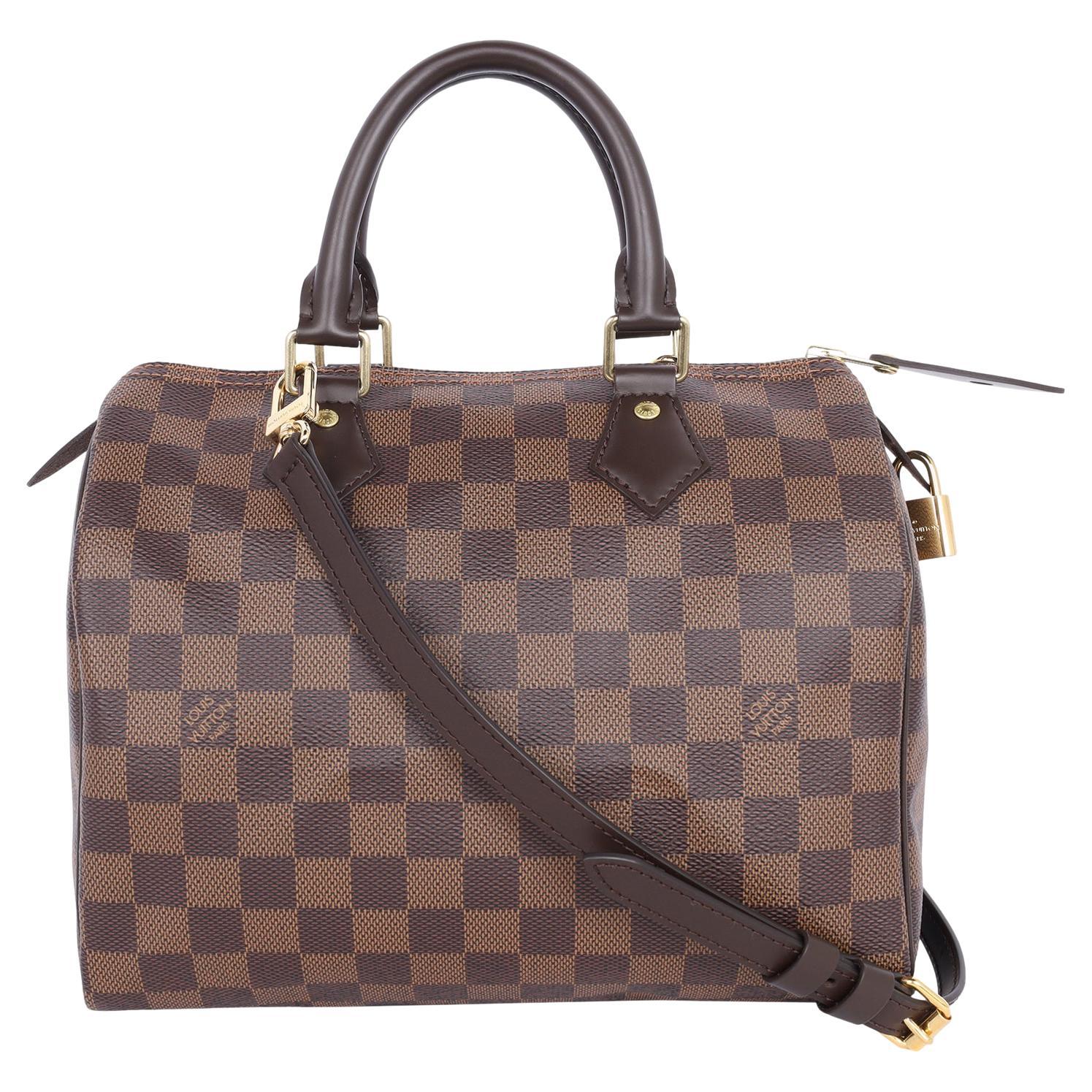 Louis Vuitton Damier Ebene Speedy 25 Cross Body Bag