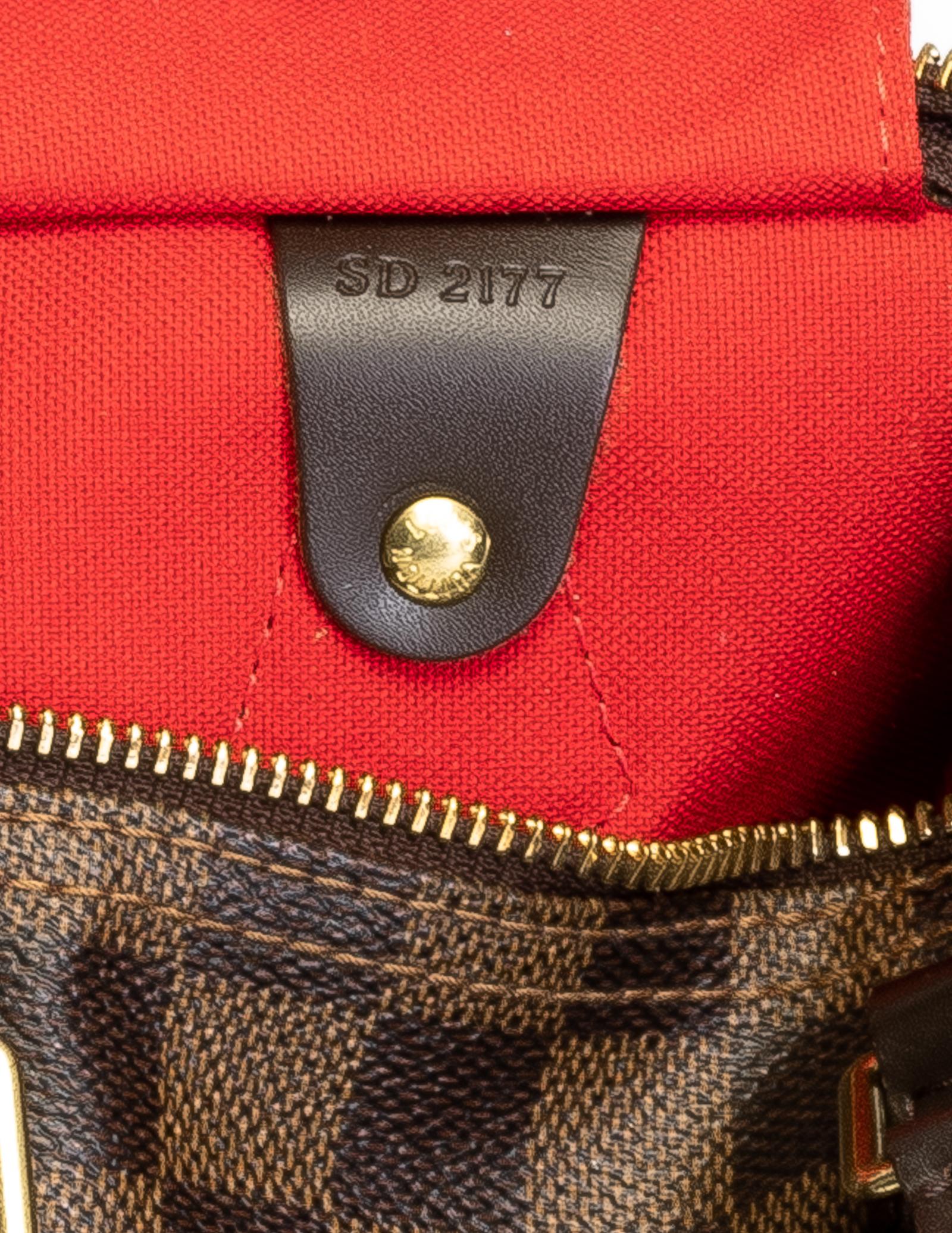 Black Louis Vuitton Damier Ebene Speedy 25 handbag