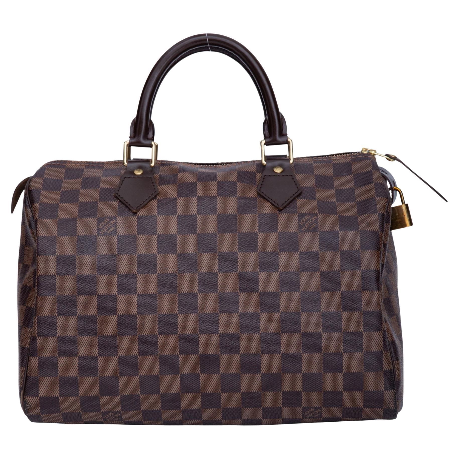 Louis Vuitton Damier Ebene Speedy 30 Handbag